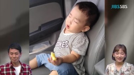 JIBS | 정규프로그램 시크한 제주