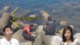 JIBS | 정규프로그램 시크한 제주