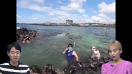 JIBS | 정규프로그램 시크한 제주