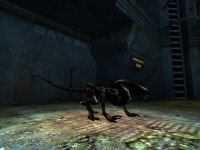 AJL R3 file - AJL mod for Aliens vs. Predator 2 - Mod DB AJL R3 file - AJL mod for Aliens vs. Predator 2