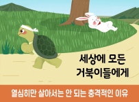 > 상세정보 : 국립세종도서관 세상의 모든 거북이들에게 | 국립세종도서관