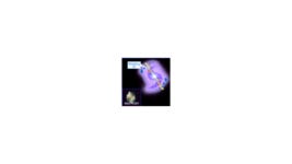 HubbleSite: Image - Schematic of NGC 5307