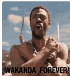 Wakanda Forever Black Panther GIF - Wakanda Forever Black Panther T Challa - GIF 탐색 및 공유