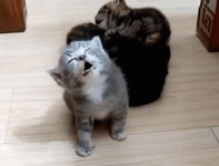 ♡홈마분들 다시 정리♡ - 인스티즈(instiz) 방탄소년단 카테고리 ♡홈마분들 다시 정리♡