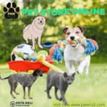 Pet Pet Food Online GIF - Pet Pet Food Online Cat - GIF 탐색 및 공유