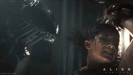 Brace Yourself Kay GIF - Brace yourself Kay Alien Romulus - GIF 탐색 및 공유