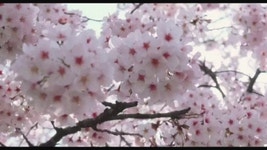 다시 걷는 갈맷길 (1월 11일, 갈맷길 3코스 2구간, 대체노선 소개 및 야경사진 포함. 사진 86장) - 뽐뿌:등산포럼 다시 걷는 갈맷길 (1월 11일... 