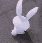 깨뉴들 덕분에 스노우토끼랑 핑구짤 많이 모아지는중 - 인스티즈(instiz) 연예 카테고리