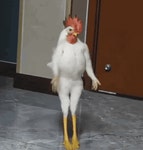 Galinha GIF | Tenor