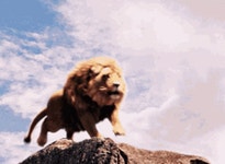 Lion Roaring GIF - Lion Roaring - GIF 탐색 및 공유