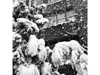 Photos of the February 1 Chicago blizzard