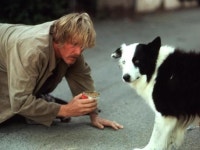 Movie remakes ranked: The 25 best films of all time The 25 best movie remakes of all time