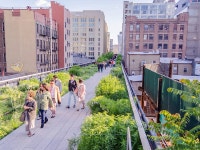 Best Free Things to Do In NYC From Museums to Attractions