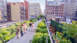 A food walking tour of the High Line