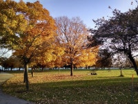 All of the spots for the best fall foliage in 2016 in Chicago Where to see the best fall foliage in Chicago