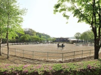 The Royal Saddle Equestrian Club | Things to do in Goyang-si The Royal Saddle Equestrian Club