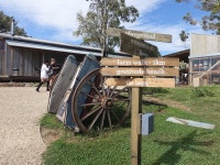 The Farm | Travel in Sydney The Farm