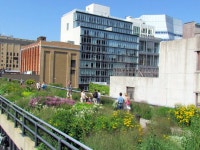 Non-douchey things to do in the Meatpacking District in NYC