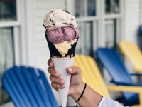 Things to Do in Cape Cod | 12 Essential Attractions and Activities The 12 best things to do in Cape Cod