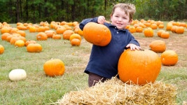 Best Things To Do on Columbus Day for Kids in NYC