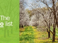 Things to do in Traverse City | 10 Essential Attractions The 10 best things to do in Traverse City