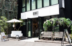 Botanist Tokyo | Shopping in Harajuku, Tokyo Botanist Tokyo