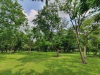 In pictures: Chatuchak Park on the first day of the reopening