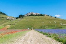 The Italian Village of Castelluccio Is Surrounded by Rainbow Fields of Wildflowers This Italian village is entirely surrounded by... 
