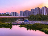 Ang Mo Kio Guide: Things To Do, Eat, Drink and Shop