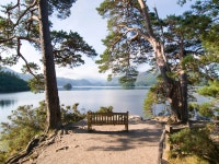 Cheshire 2025 | Ultimate Guide To Where To Go, Eat & Sleep in Cheshire | Time Out