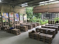 Singapore Beekeepers Promoting Conservation and Education Theres nothing to bee afraid of bees