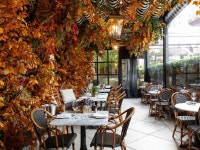 Marina Abramović: After Life | Royal Academy of Arts | Art in London