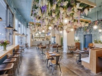 28 Best Brunch Spots in Chicago To Try This Weekend The best brunch spots in Chicago