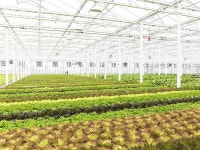 Future Cities, Now! | People and Places Shaping Montreals Future