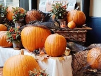 A pop-up pumpkin market is taking over Covent Garden