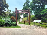 Hikes that take less than an hour in Hong Kong