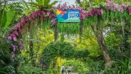 Jurong Bird Park To Close On January 3, 2023 After 52 Years Jurong Bird Park to close on January 3, 2023 after 52 years