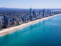The Best Nature And Wildlife Things To Do On The Gold Coast 5 unmissable nature and wildlife experiences on the Gold Coast