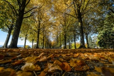 The five best things to do around Lausanne in autumn