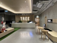 Tree Health and Sports | Things to do in Tseung Kwan O, Hong Kong