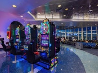 Las Vegas casinos: Where to game and gamble in Sin City The 14 best Las Vegas casinos
