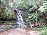 The 17 Best Things to Do in Launceston [Updated 2025] The 17 best things to do in Launceston both tourists and locals will love