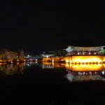 버블 인 더 포레스트 카페