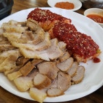 코르케아사리 동물원