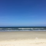 데사 젖소 농장