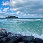 구기영 조방 낙지