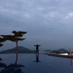 여유로운 힐링, 제주의 숲 탐방