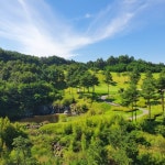 춘하추동 밀면 서면 본점