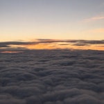 연탄과 친한 돼지