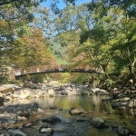 거제도 가조도풀하우스펜션 - 트리플 숙소